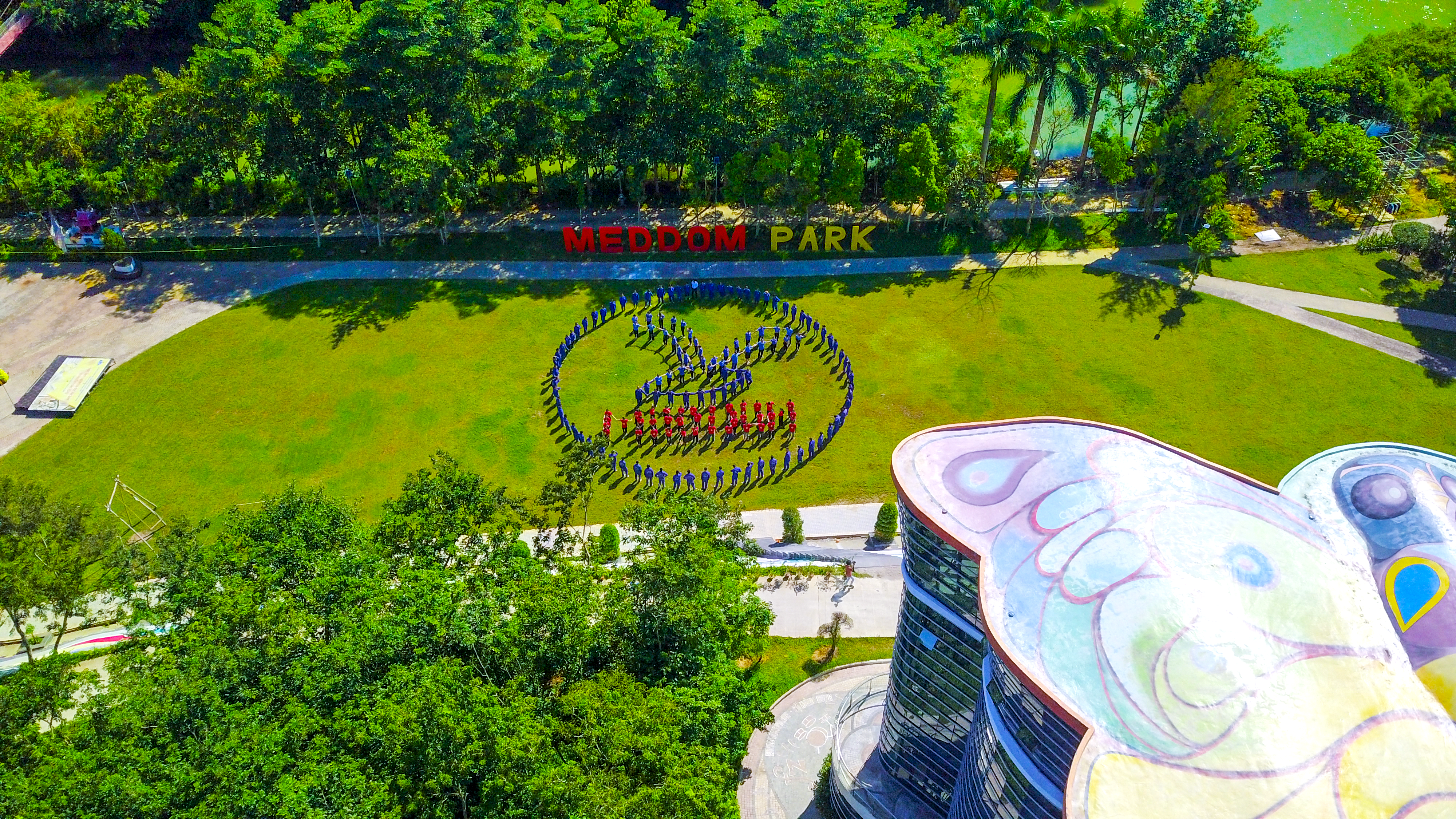 lĩnh vực hoạt động